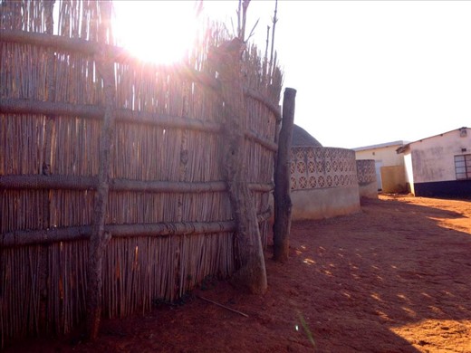 Embrace a world far different from your own