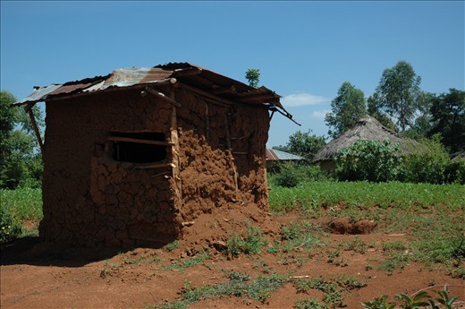 Back to my rural area