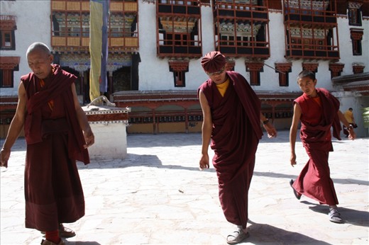 A perfect example of monks celebrating life together…Different generations come together to participate in a festival which holds much importance in their lives.