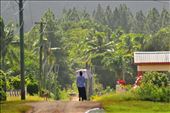 Conserving the wildness : by myvision, Views[258]