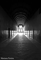 Many souls passed through this hallways and lived in the rooms these doors guard.: by myworld, Views[282]