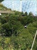 Zip lining over the Eden Project: by nabz, Views[433]