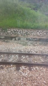 by naddydaud, Views[157]