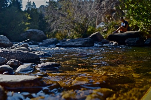 After just a few hours the Australian sun proves it's strength to be unforgiving. So it's time for some shade, rest & relaxation. To forget about the surrounding world and take a break to the peaceful sounds of the water from the passing stream. 
(Royal National Park)