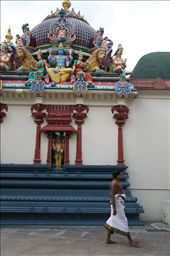 Hindu Temple: by nancyunderthestars, Views[268]
