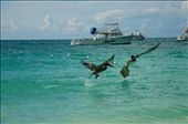 Pelicans take flight: by nancyunderthestars, Views[336]