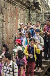 by nannebrouwer, Views[215]