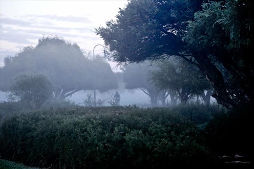 A Cyclist through the mist of the morning