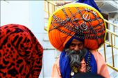 All kinds of Sikhs come to visit their most sacred place. This one is a Nihang.: by nanya, Views[248]