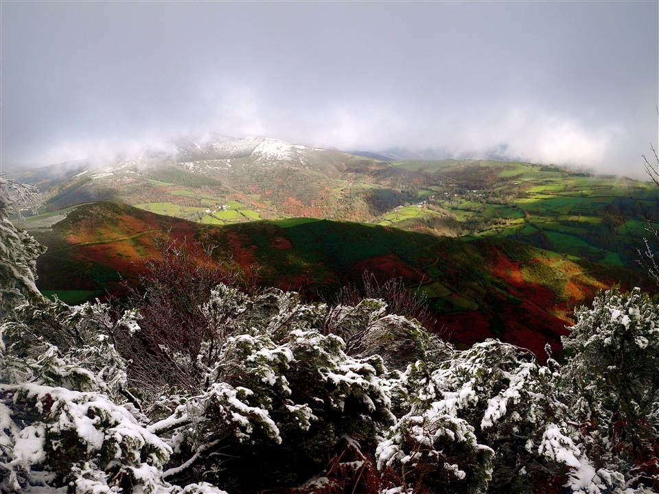 O Cebreiro: Fighting through snow to the purple hills, and breakfast, below