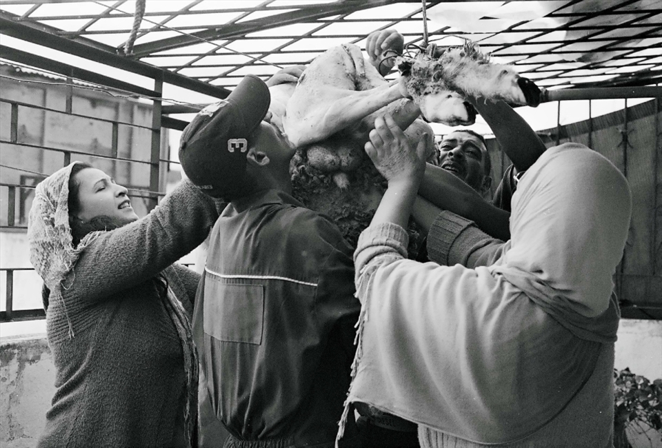 The sacrifice occurred on the terrace of our house in Rabat, just as the rain clouds broke and the sun emerged.  Here, my host mother and sister Khadija help the butchers hang up the body before disembowelment.