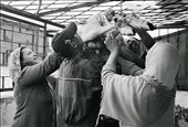 The sacrifice occurred on the terrace of our house in Rabat, just as the rain clouds broke and the sun emerged.  Here, my host mother and sister Khadija help the butchers hang up the body before disembowelment.: by naomidann, Views[669]