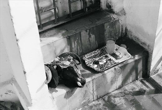 The head of the ram was set aside next to an extra glass of orange soda while the men skinned and prepared the carcass.  