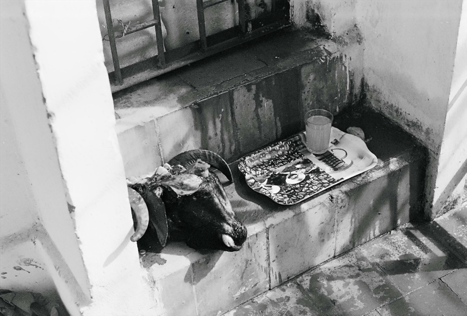 The head of the ram was set aside next to an extra glass of orange soda while the men skinned and prepared the carcass.  