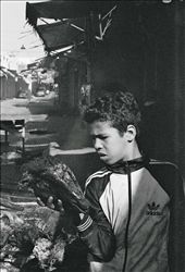 During the day of the Eid, neighborhood boys congregate in the streets of the medina (old city) to roast ram heads on bonfires built out of bed frames and wooden crates.  This street, usually crowded with goods and shoppers, becomes an apocalyptic landscape.  Smoke rises from bonfires on the unnaturally empty and boarded up street, while gangs of teenage boys compare the size of their ram’s horns and poke at the heads roasting in the fire. This boy inspects his charred ram head, perhaps imagining the taste of the brains that will show up in the couscous the next day.  : by naomidann, Views[607]