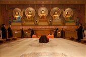 The five Buddha's of Confidence, Longevity, Wisdom, Inner Beauty and Peace, grace the shrine(L to R).  Showing that everyone can achieve Buddhahood, 10,000 smaller Buddha's bear witness to this temple.
The steps at the front of the Main Shrine symbolise your journey of enlightenment. You cannot be given it, you have to earn it. This could possibly take several lifetimes, but each step should be steady and be taken by yourself.
The harmonious chanting ceremony lasts for 30 minutes.: by nards, Views[677]