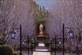 Buddhism is not only about your journey through current, active life, but it also creates a sense of calm and reassurance about your after life (Amitabha Buddha).
Providing confidence, tranquility and foresight (Li-Bu-Wei Buddha), wealth and fulfillment (Tuo-Pao Buddha), grounding, inner beauty and sincerity (Miao-Se-Shen Buddha) and finally calmness and purity of the mind to keep clarity of situations (Gan-Lu-Wang Buddha).
Could each person retain the lessons of Buddha on their journey?
: by nards, Views[960]