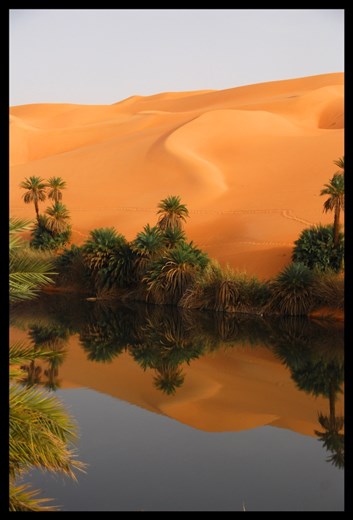 Emerald Oasis in the Libyan Sahara