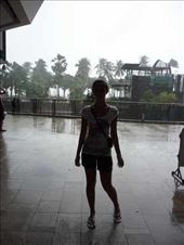 tropical rain pours: by natabalog, Views[142]
