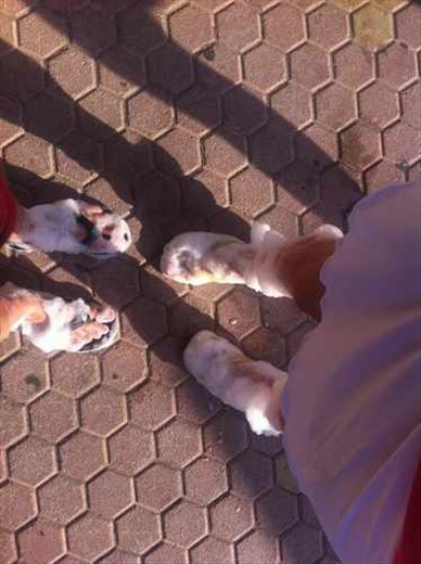 dancing all night long))