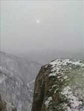 by natabalog, Views[229]