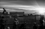 The crowd waits for the Battle of the Border Rodeo, in Camooweal, Northern Australia.: by nataliacartney, Views[618]