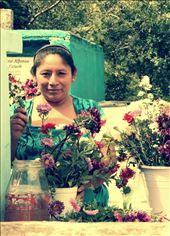 by nataliaferro, Views[164]