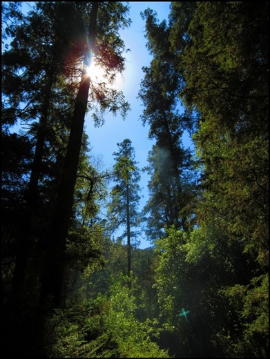 A natural reserve offers different images and gives a you a breath in a city where the smog, garbage and traffic hurts.