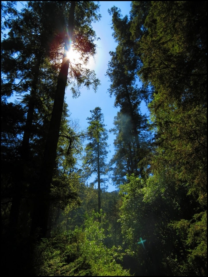 A natural reserve offers different images and gives a you a breath in a city where the smog, garbage and traffic hurts.