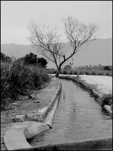 In Mexico you can find amazing places surrounded
by lakes, rivers and filled of green magic abstract zones. Where the life it's really peaceful and comfortable.