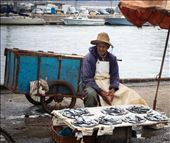 Fisherman Ali goes to the ocean with other men from the village to catch and sell fish in roder to feed his family. He is doing it since 15 years almost every day: by natalieinwonderland, Views[300]