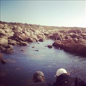 by natania, Views[263]