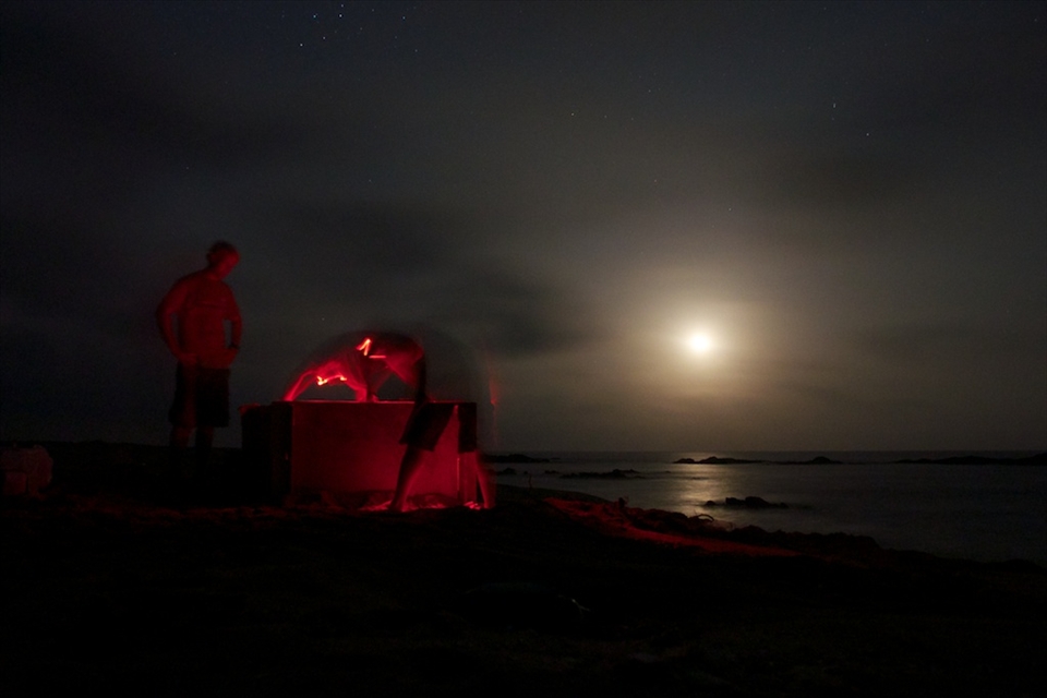 It was pitch dark when a hawksbill turtle emerged from the ocean to find a perfect nesting spot on the shore. Sand started flying in all directions and then she entered a sort of trance to lay her hundred-odd eggs. The moon rose when she erased the traces of her sandy womb and the turtle tagging team dropped a box around her.