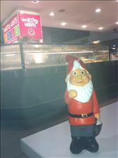 by natashacaitlin, Views[171]