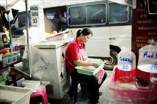 Reptile Dinner Preparation