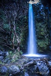Dawson Falls on Mount Taranaki, Cold Winter Day: by natcwaugh, Views[224]