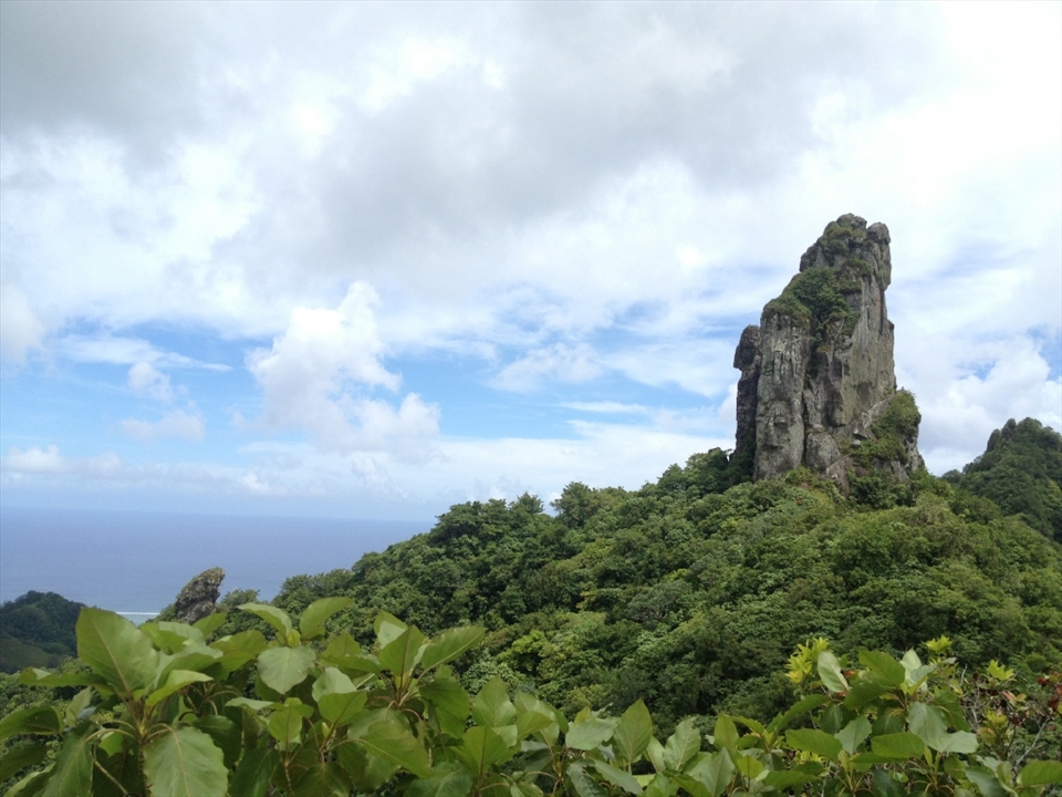 The Needle, looking South. This is the midway on a rigorous island trail that crosses North to South. 