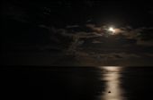 Moonrise over Arorangi, the West side of the island. The long sandy beaches here are serviced by backpackers & guest-friendly hotels, great spots to sit and relax after exploring high and low.: by natemcquade, Views[410]
