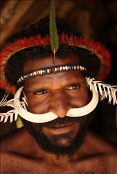 Natalius is next in line to be chief of his village in the Baliem Valley. He is showing off traditional decorations. A ring of eclectus parrot feathers sits on his head while a headband of shells and seeds with a tail feather of a parakeet sits under it. The outfit is topped off with two pig tusks in the nose and outward curling cockatoo feathers on the ears.: by nathan_litjens, Views[437]