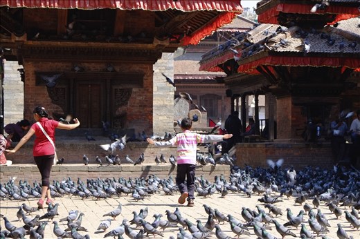 A boy spreads his wings amongst an army of pigeons, as if to fly away