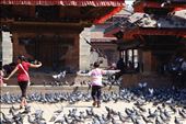 A boy spreads his wings amongst an army of pigeons, as if to fly away: by nathanburley, Views[394]