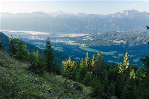 A view of a village just outside of Hermagor Austria made up mostly of farmers. This area is popular for tourists to get out  of their busy cities and hike in the Alps to enjoy the fresh air and  spectacular views. Some of the trees are cut to process wood and  make room for cows to graze on.