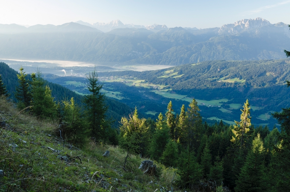 A view of a village just outside of Hermagor Austria made up mostly of farmers. This area is popular for tourists to get out  of their busy cities and hike in the Alps to enjoy the fresh air and  spectacular views. Some of the trees are cut to process wood and  make room for cows to graze on.