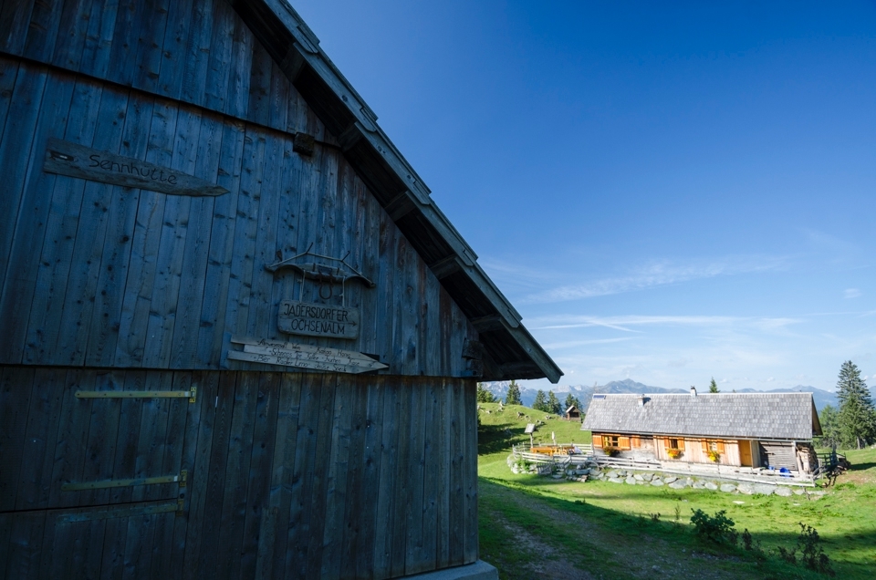 It takes a car about 45 minutes to drive up to this point on the  mountains if they are allowed and it takes a few hours to hike here.  The hikers are greeted by a cabin that a family lives in during the  summer taking care of the cows that are not mature enough  to produce milk. They offer the hikers a place to rest and to purchase food and drink.