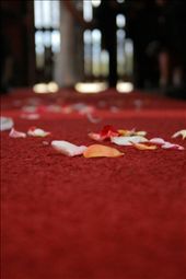 by nathanguilbert, Views[95]