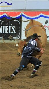 by nathanguilbert, Views[133]