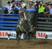 by nathanguilbert, Views[156]