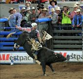 by nathanguilbert, Views[171]