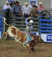 by nathanguilbert, Views[109]