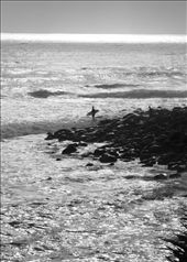 One loan surfer braves the weather and makes his way out from the rocks.: by nathanspear, Views[281]